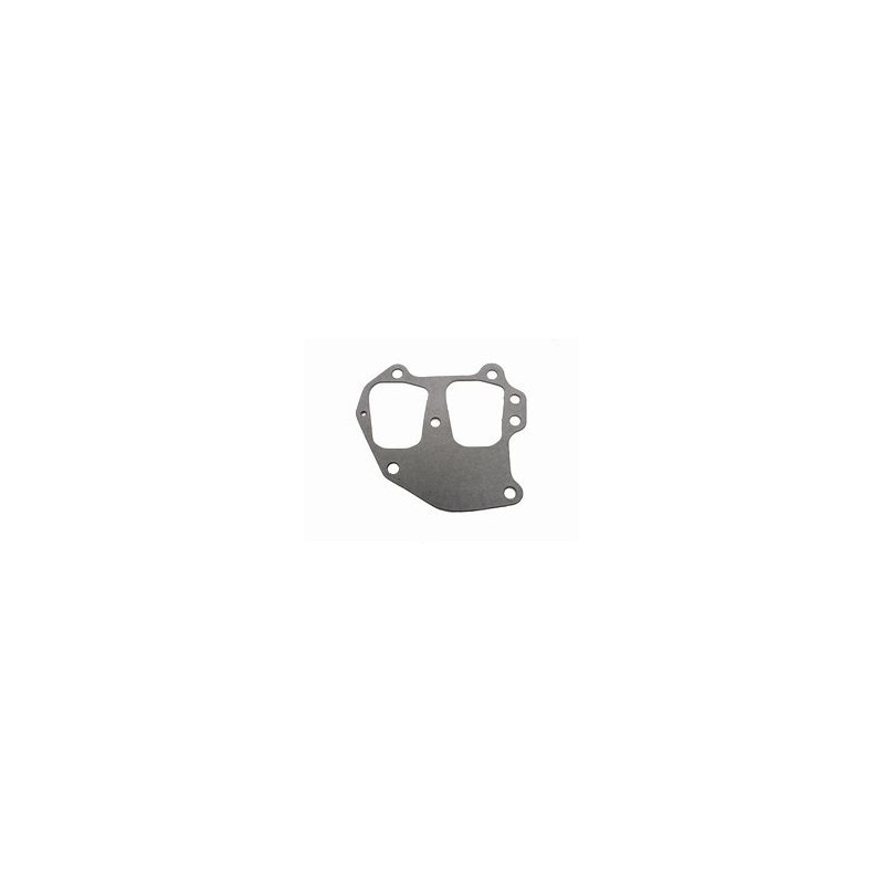 0318924 Guarnizione pacco lamellare Johnson, Evinrude
