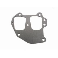 0318924 Guarnizione pacco lamellare Johnson, Evinrude