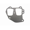 0318924 Guarnizione pacco lamellare Johnson, Evinrude