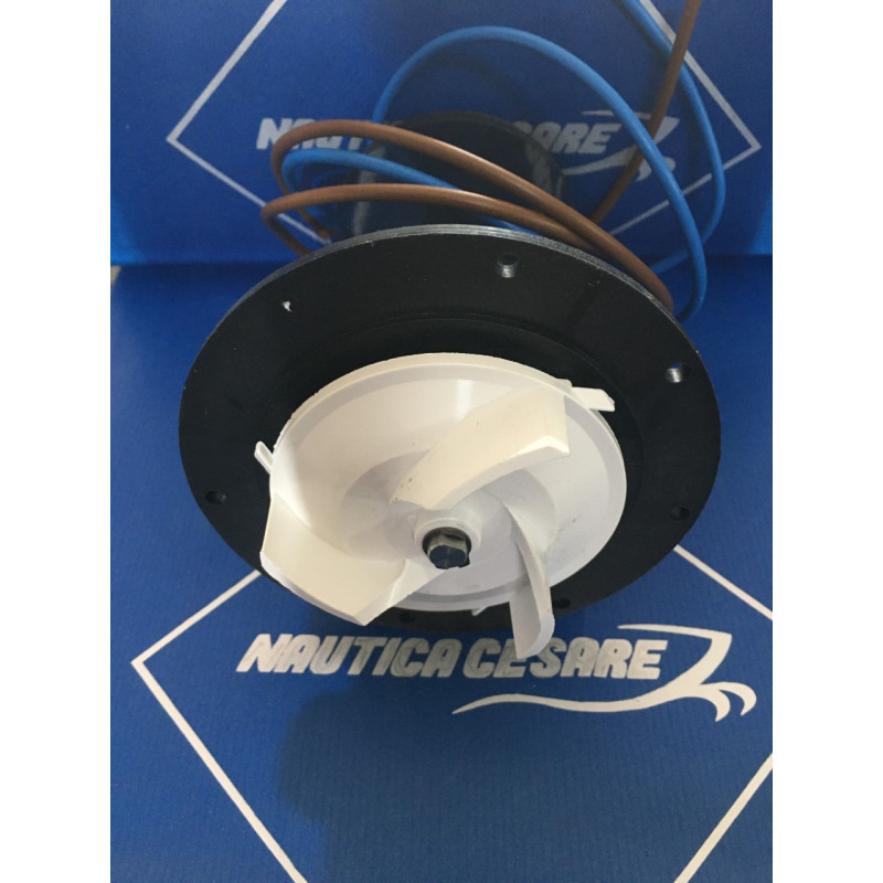 J814724801 MOTORE WC