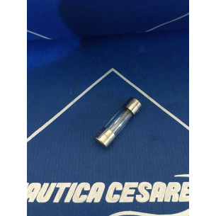 0982019 FUSIBILE 50 AMP  IN VETRO