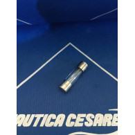0982019 FUSIBILE 50 AMP  IN VETRO