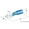 1480001 OCCHIOLI STAGNI FORO 4.3MM BLU