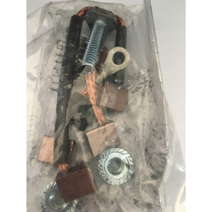 0385952 SPAZZOLE MOTORINO