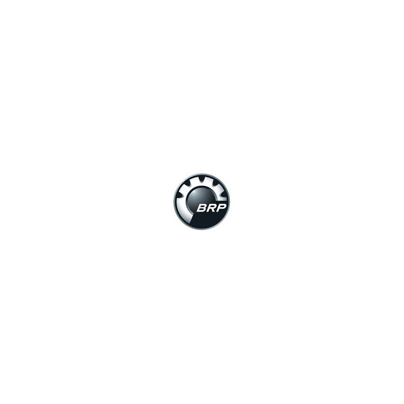 0217004 LOGO BRP (NUOVO)