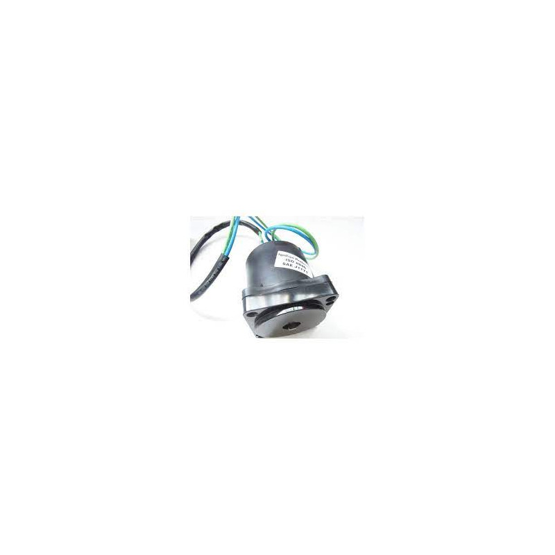 5009809 MOTORINO TRIM G2