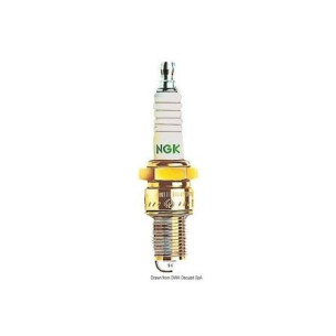 4755843 CANDELA ZFR7F