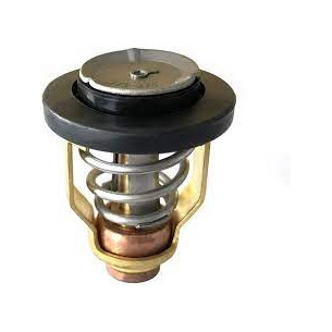 5033721 THERMOSTAT,60DEG C