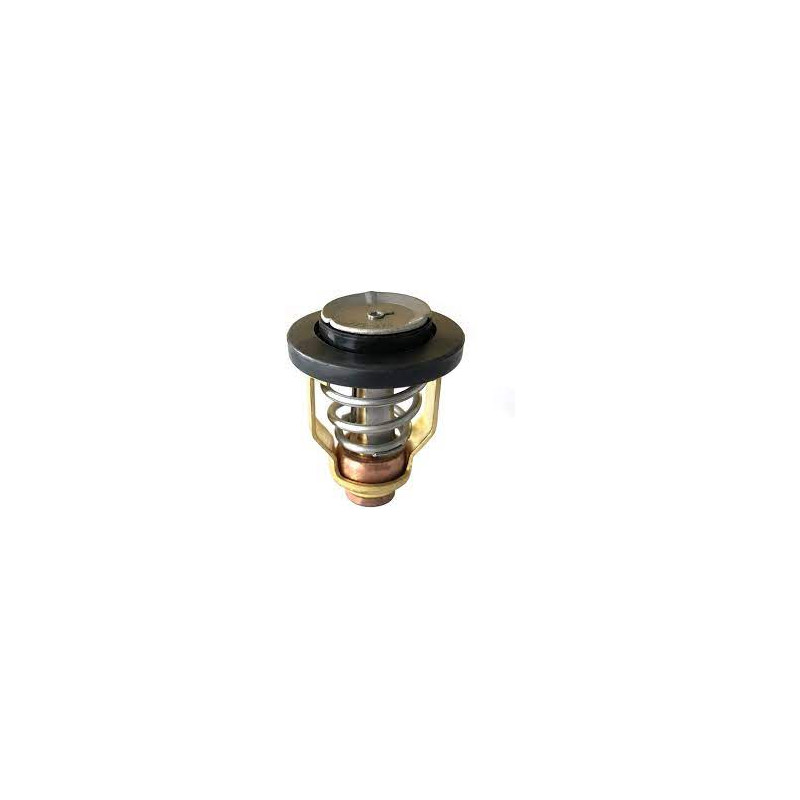 5033721 THERMOSTAT,60DEG C