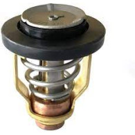 5033721 THERMOSTAT,60DEG C