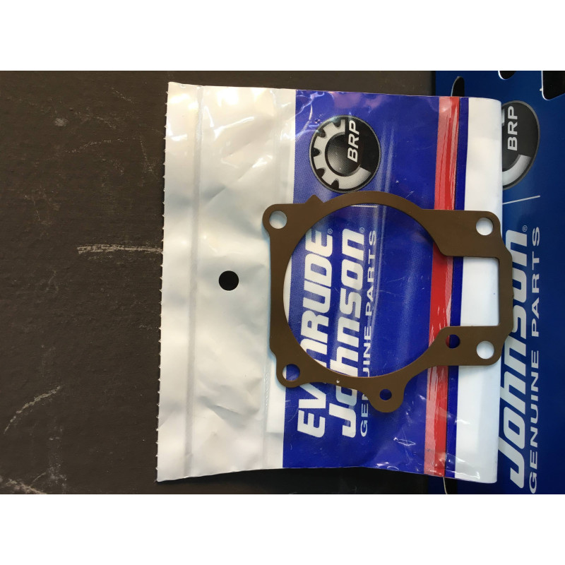 0338880 GUARNIZIONE CARBURATORE 70HP