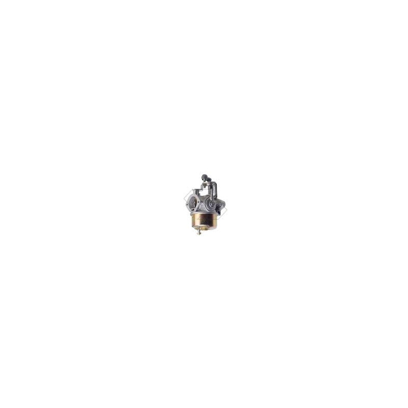 5033365 CARBURETOR ASSY