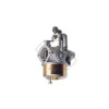 5033365 CARBURETOR ASSY
