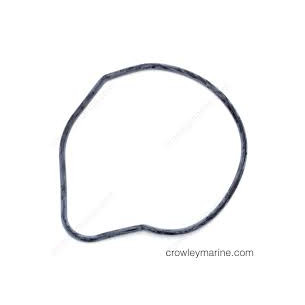 0315788 O'RING CORPO POMPA