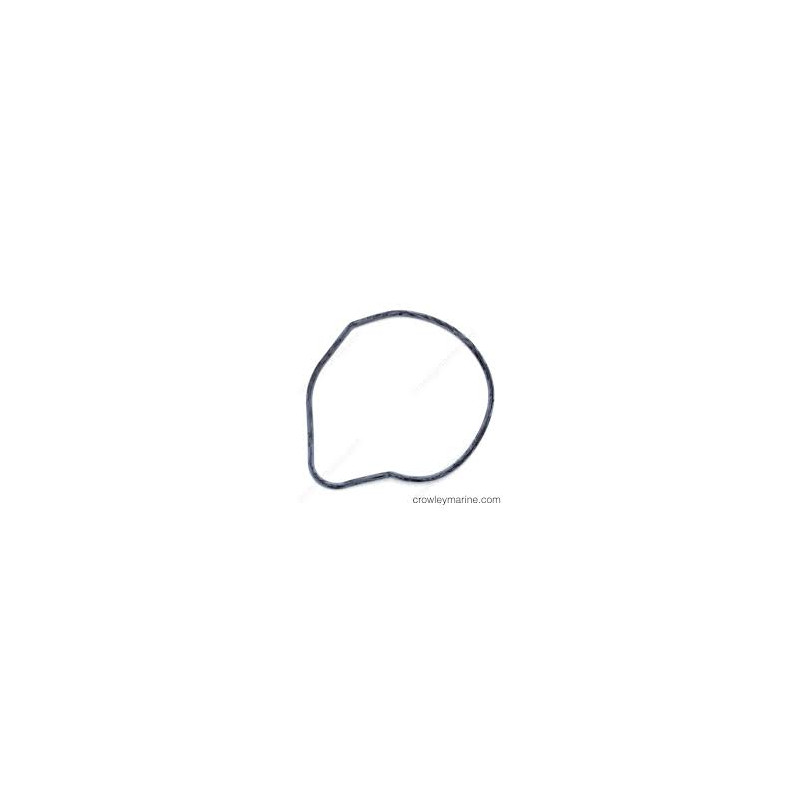 0315788 O'RING CORPO POMPA
