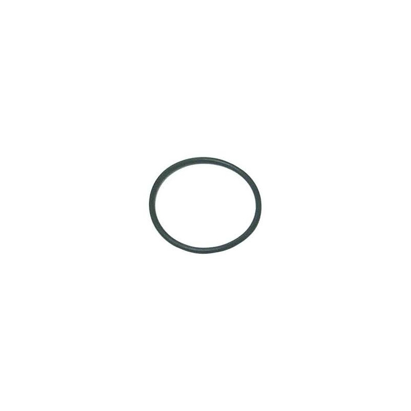 0308627 O'RING ASSE ELICA