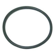 0308627 O'RING ASSE ELICA