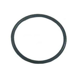 0308458 O'RING ALBERO MOTORE 15HP