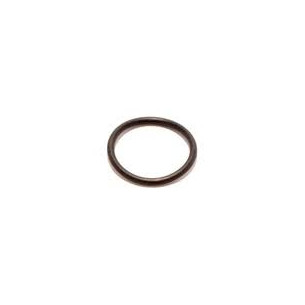 0346865 O'RING  CORPO POMPA