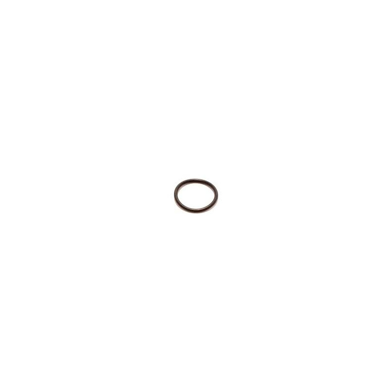 0346865 O'RING  CORPO POMPA