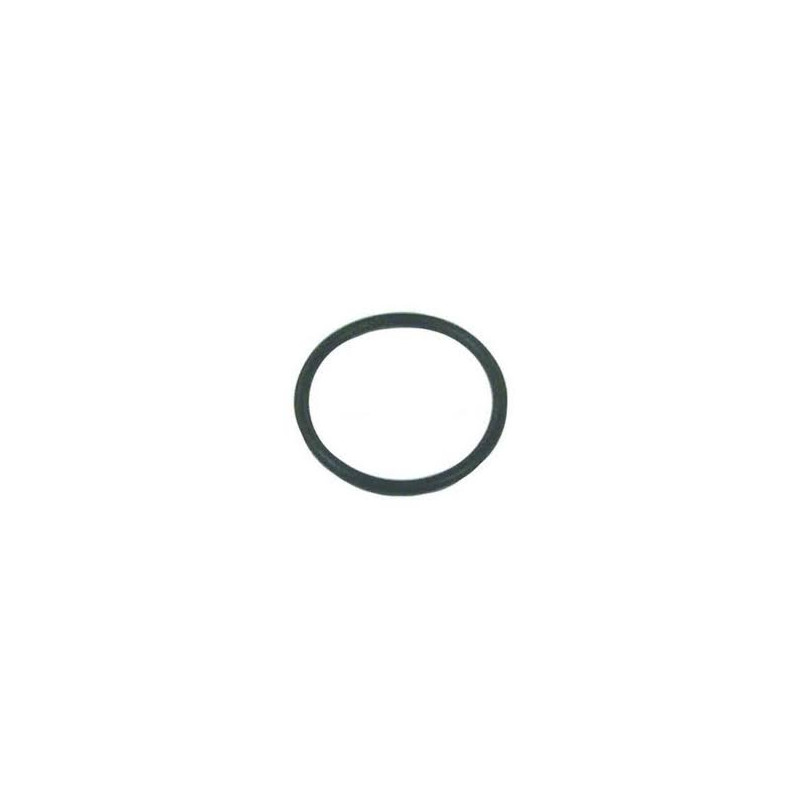 0302588 O'RING