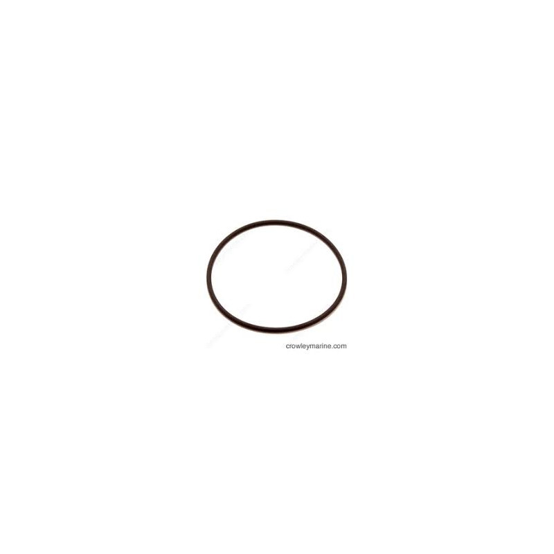 0341620 O'RING TESTATA 25