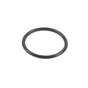 0357985 O'RING COPERCHIO ASSE DPS G2