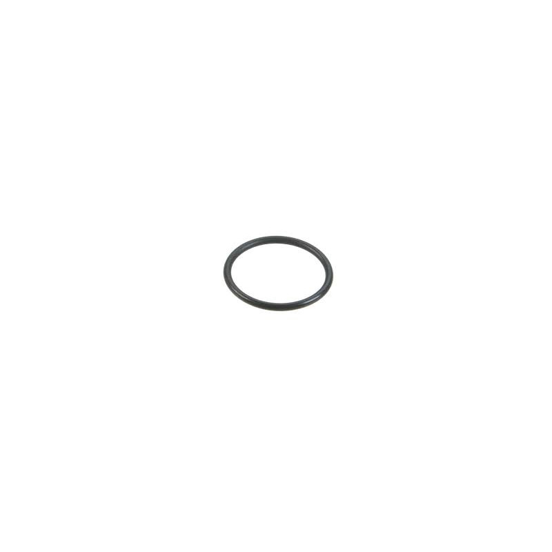 0357985 O'RING COPERCHIO ASSE DPS G2