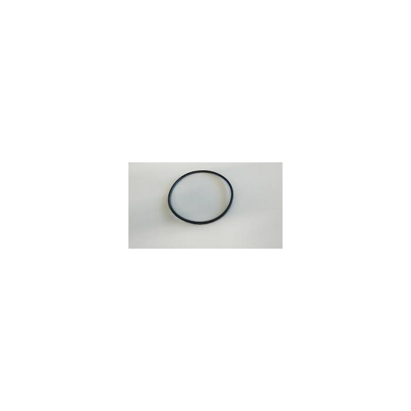 0313446 O RING SUPPORTO ASSE ELICA