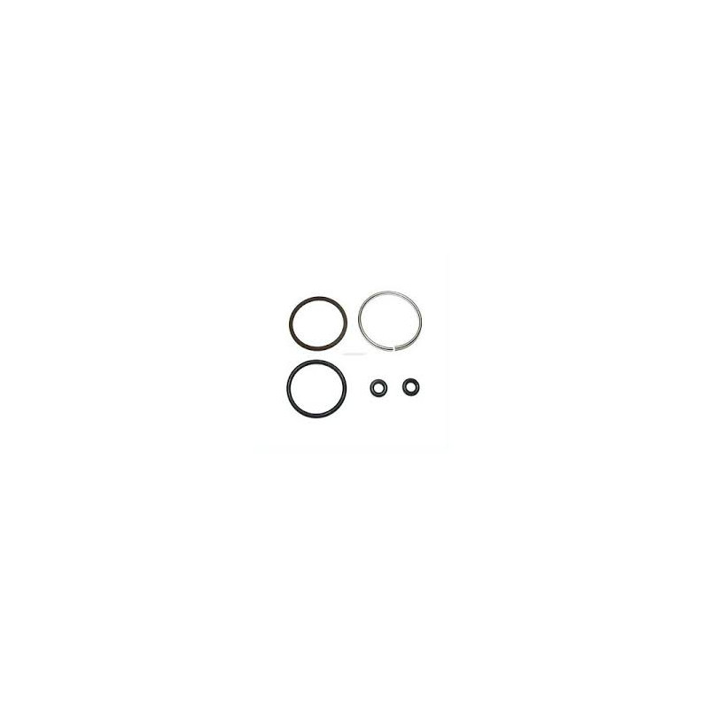 5007017 KIT SEAL INIETTORI
