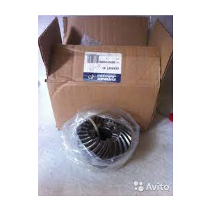 5001586 GEARSET,CORO-MAGNM g1