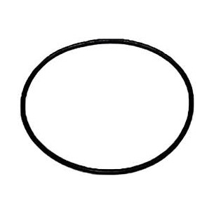 69j4389j0000 O RING