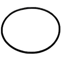 69j4389j0000 O RING