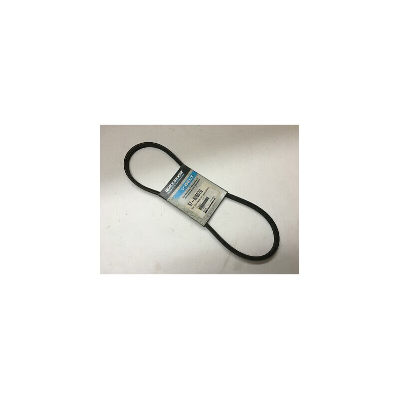 65607Q CINGHIA S/STERZO