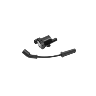 877807A2 Bobina di accensione MERCURY 30-60 CV 4 Tempi EFI