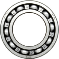 8M0142873 CUSCINETTO