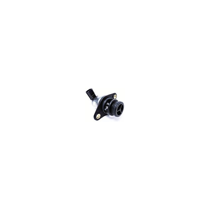 897526T VALVOLA ARIA IAC