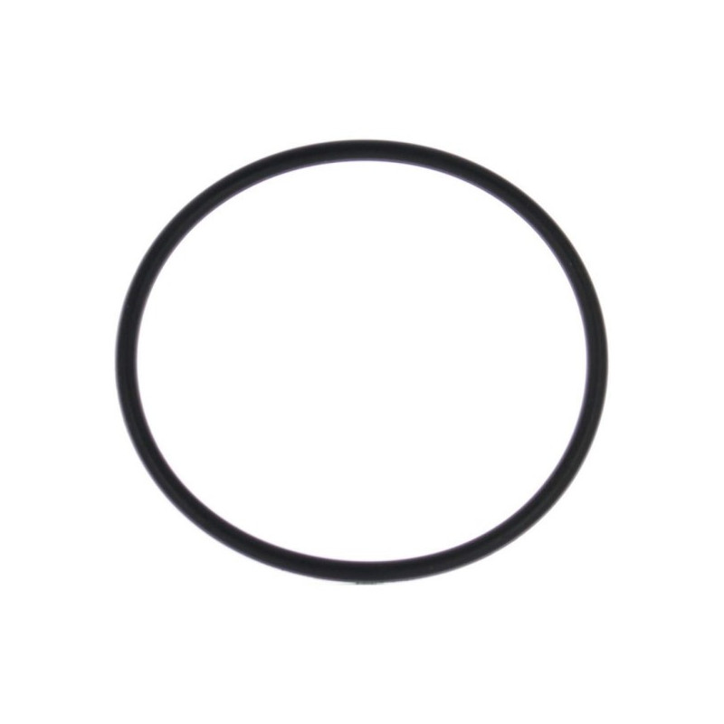 815460 O RING