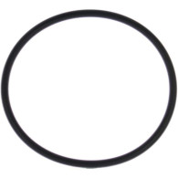 815460 O RING