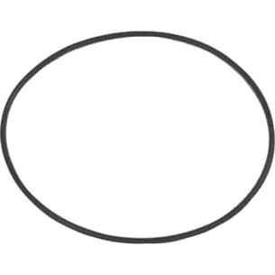 32546 O RING GAMBALE