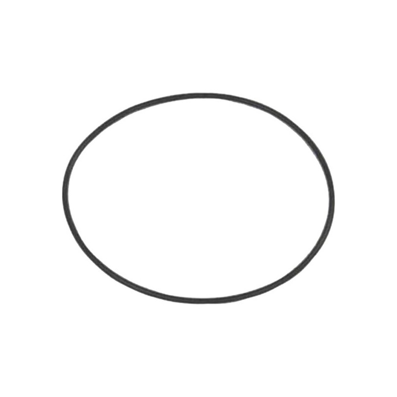 32546 O RING GAMBALE