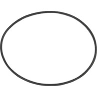32546 O RING GAMBALE