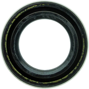 161301 PARAOLIO