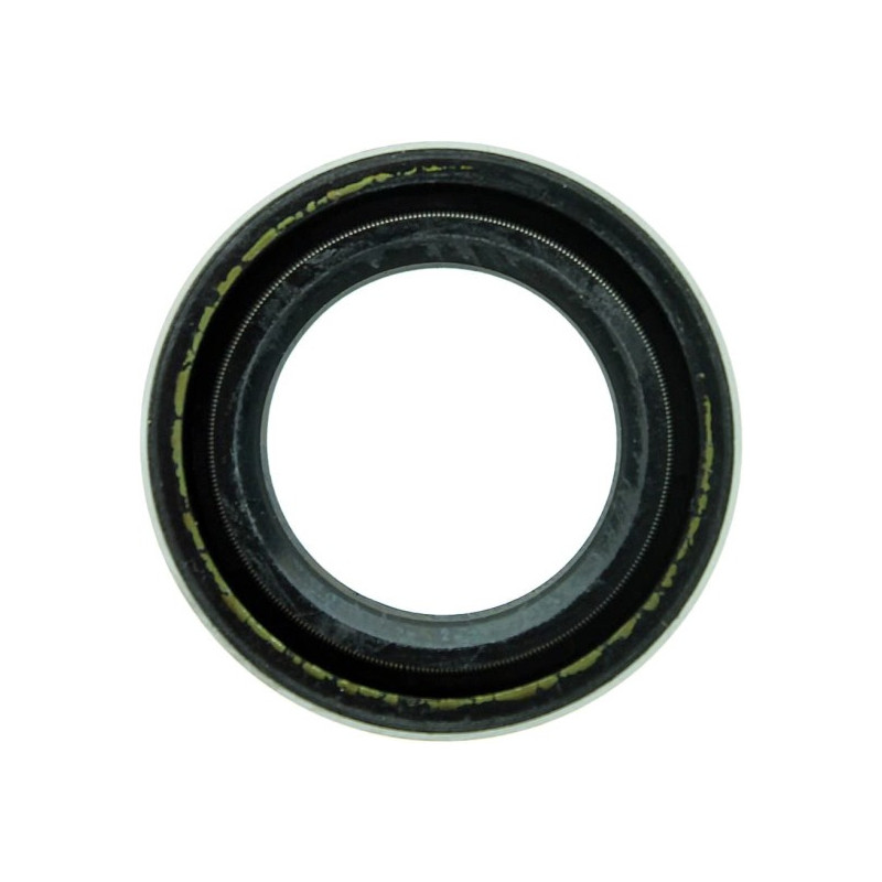 161301 PARAOLIO