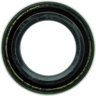 161301 PARAOLIO