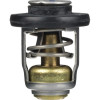 8M0119207 Termostato MERCURY e TOHATSU da 8 a 30 CV 4T