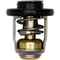 8M0139434 Termostato MERCURY e TOHATSU 9.9 a 20 EFI (2017 e +)