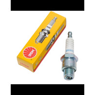 4755809 CANDELA BR8HS-10