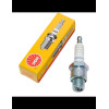 4755809 CANDELA BR8HS-10
